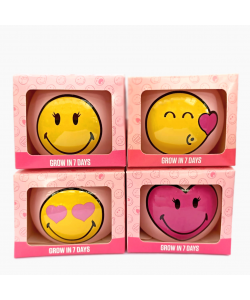 Cute Smiley Face Grass Grow Kits 