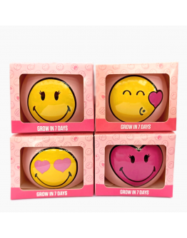 Cute Smiley Face Grass Grow Kits 