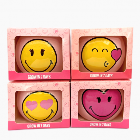 Cute Smiley Face Grass Grow Kits 